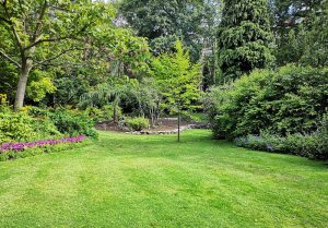 Optimiser l'expérience du jardin à Hennebont